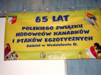 Wodzislaw 01